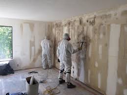 Best Forensic Mold Investigation in Ancient Oaks, PA